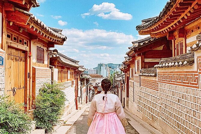 Private Tour : Royal Palace & Traditional Villages wearing Hanbok - The guide experience: friendly English and organized flow