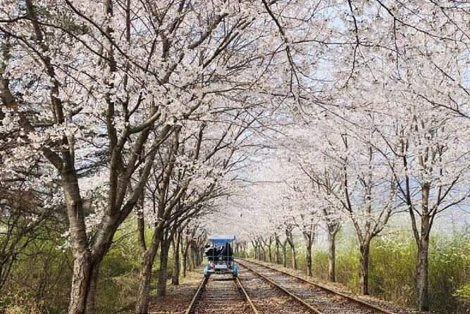 Private Tour to Alpaca world &Nami Island& Railbike with Tickets - Price and Value: What You’re Really Paying For