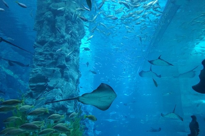 Private Tour to Lotte Tower, Aquarium and Lotte world Theme park - Inside Seoul’s Lotte complex, without the guesswork