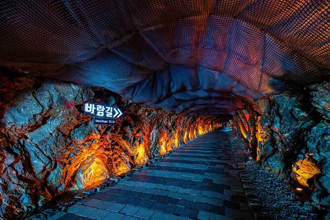Seohaerang Cable Car, Gwangmyeong Cave & Suwon fr Seoul(EG Tour) - Who should book this Seoul-area day trip?