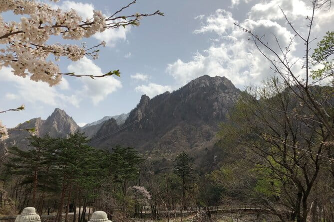Seoraksan and Cherry Blossom Lake 1 day trip from Seoul - Key Points You’ll Care About