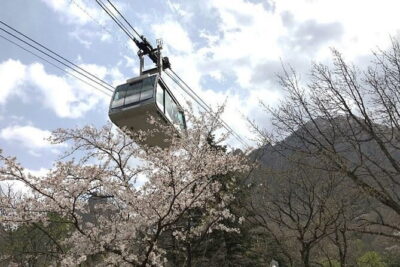 Seoraksan and Cherry Blossom Lake 1 day trip from Seoul - Seoraksan National Park and Shinheungsa Temple: Where the Day Gets Real