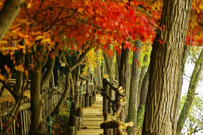 Seoraksan and Cherry Blossom Lake 1 day trip from Seoul - Timing Tips for a 12–13 Hour Spring Day