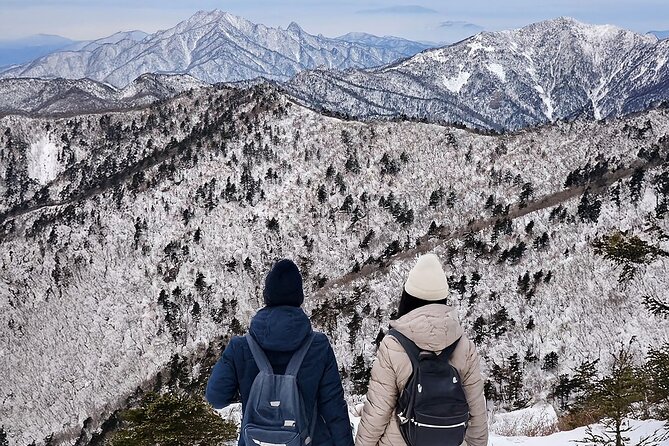 Seoraksan National Park & Nami Island - Key Highlights You’ll Actually Feel