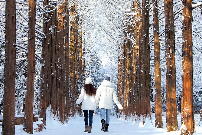 Seoraksan National Park & Nami Island - Getting Picked Up in Seoul: Early, Central, and Efficient