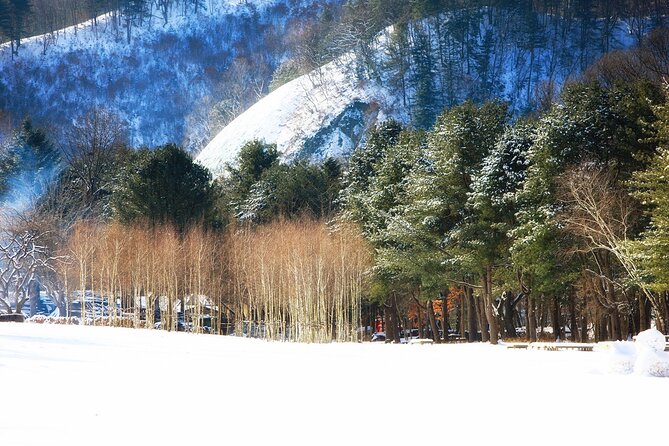 Seoraksan National Park & Nami Island - Nami Island: Winter Sonata Setting Meets Real Time to Wander
