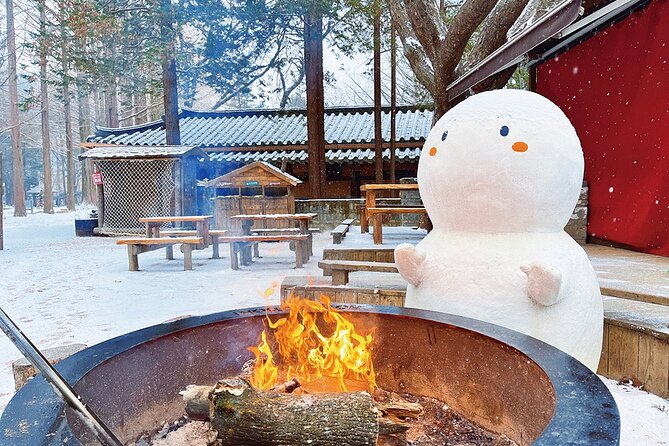 Seoraksan National Park & Nami Island - Group Size and Comfort: Big Group, Guided Flow