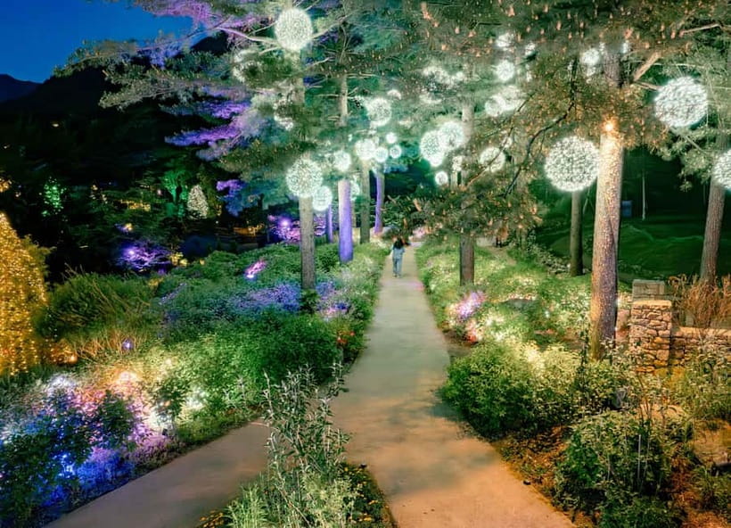 Seoul: Alpaca World and Nami Island (with Garden / Railbike) - Nami Island: drama-style avenues, plus art and a real stroll pace
