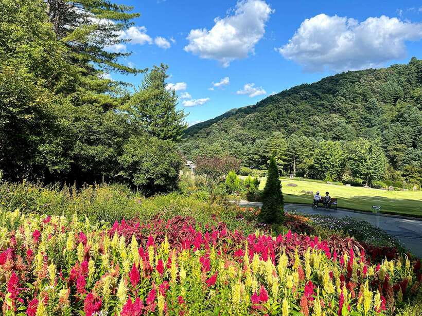Seoul: Alpaca World and Nami Island (with Garden / Railbike) - Choosing between Garden of Morning Calm and the light-festival options