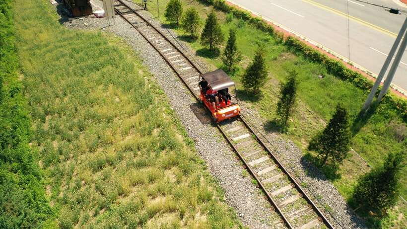 Seoul: Alpaca World and Nami Island (with Garden / Railbike) - Price and value: when $83 is actually fair
