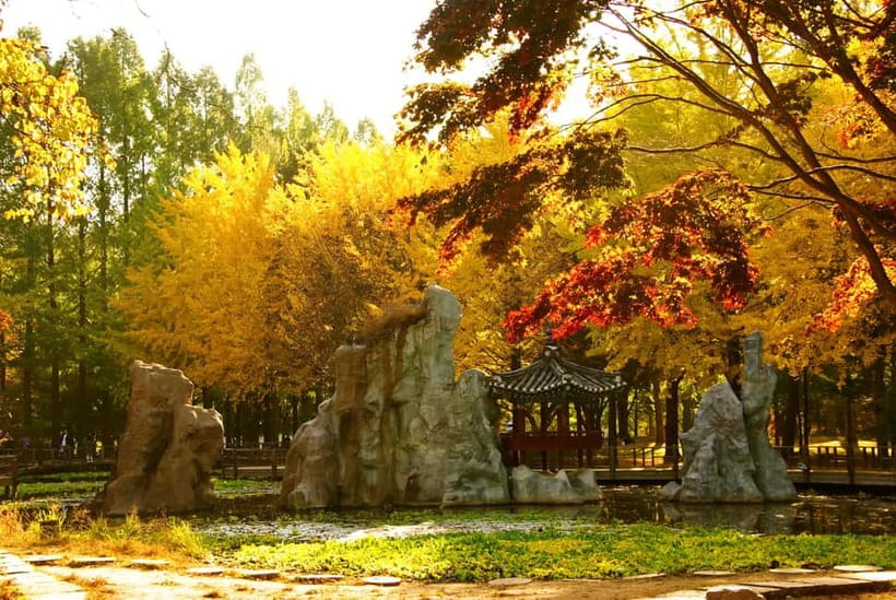 Seoul: Alpaca World and Nami Island (with Garden / Railbike) - Should you book Seoul: Alpaca World and Nami Island with Garden/Railbike?