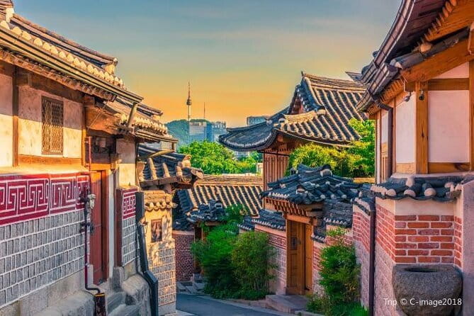 Seoul and Suburbs Private Customized Tour - Price and logistics: what the $244.76 actually covers