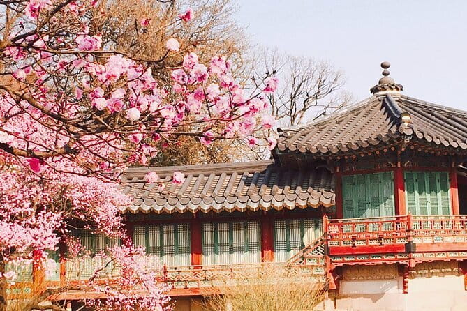 Seoul and Suburbs Private Customized Tour - Garden of Morning Calm: a calmer 2 hours with plant-focused strolling