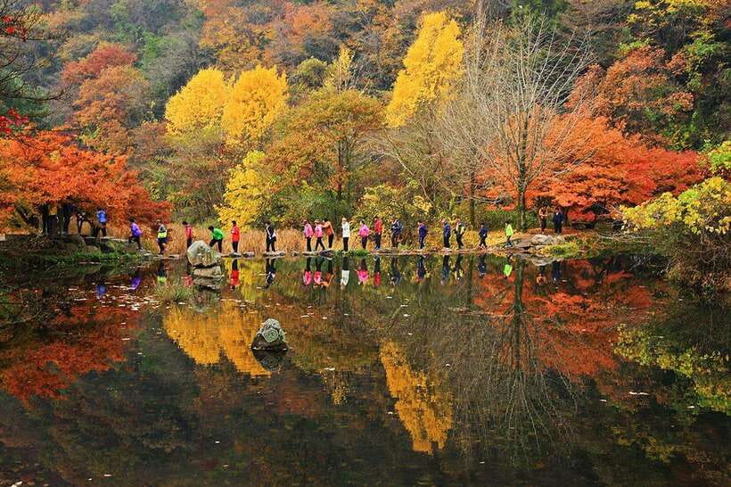 Seoul: Autumn Foliage - Mt. Naejang + Jeonju Hanok Village - Key Highlights You’ll Actually Feel