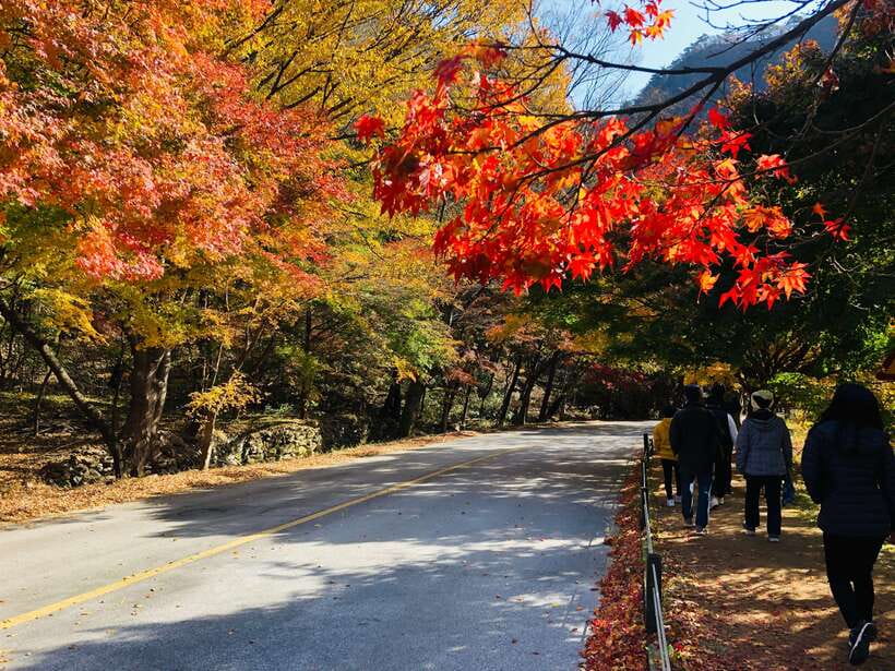 Seoul: Autumn Foliage - Mt. Naejang + Jeonju Hanok Village - Naejangsan Timing: Why This Mountain Works for Autumn