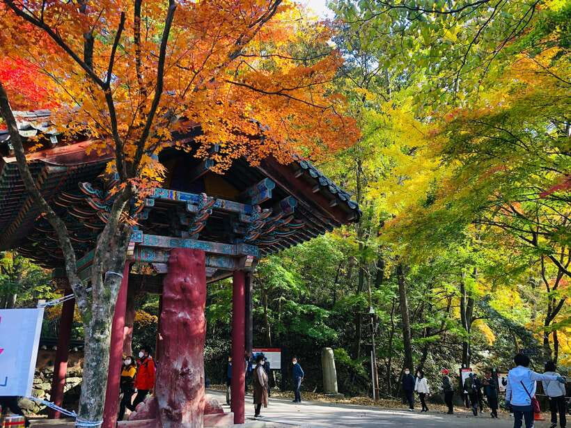 Seoul: Autumn Foliage - Mt. Naejang + Jeonju Hanok Village - Mt. Naejangsan National Park: Easy Walking, Big Autumn Payoff