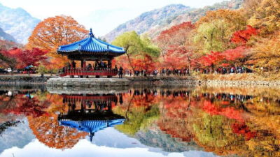 Seoul: Autumn Foliage - Mt. Naejang + Jeonju Hanok Village - From Seoul Pickup to a 16-Hour Autumn Day