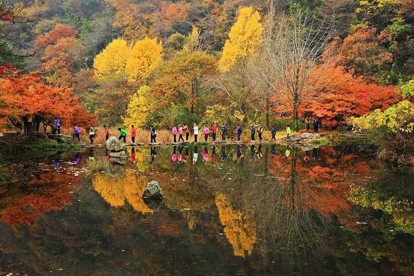 Seoul: Autumn Foliage - Mt. Naejang + Jeonju Hanok Village - Photo Tips and Weather Reality on the Mountain