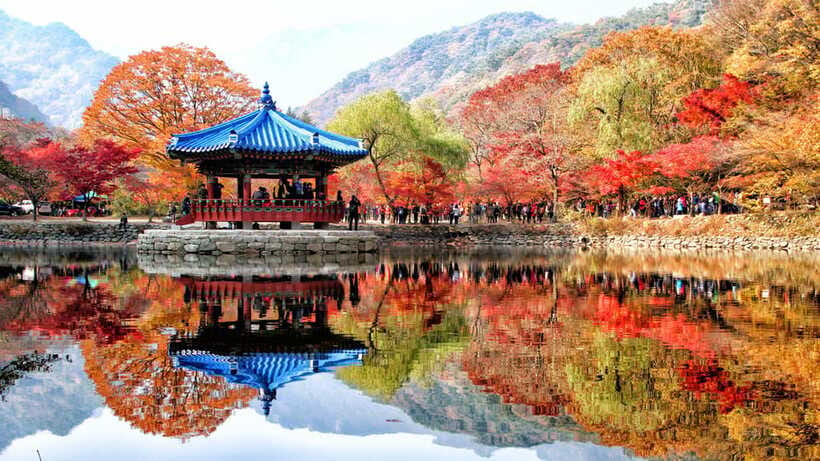 Seoul: Autumn Foliage - Mt. Naejang + Jeonju Hanok Village - Hanbok Energy and Street Food: Make Jeonju a Full Sensory Stop