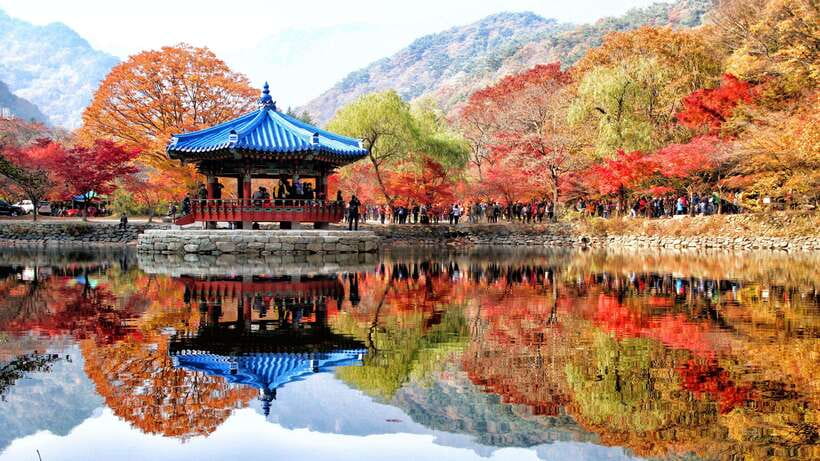 Seoul: Autumn Foliage - Mt. Naejang + Jeonju Hanok Village - From Seoul Pickup to a 16-Hour Autumn Day