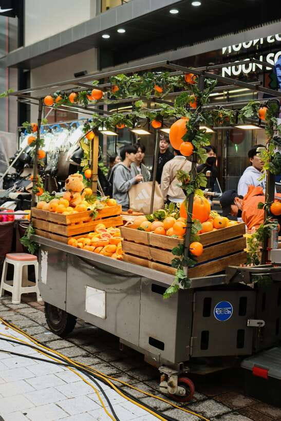 Seoul : Best of Seoul Private Walking Tour - Logistics that actually affect your day