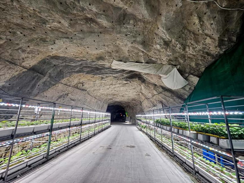 Seoul: Chungju Cruise, Cable Car & Cave Kayak Adventure Tour - Price and value: $69 isn’t just transport, it’s three ticketed experiences