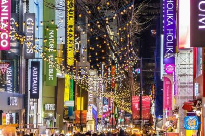 Seoul City Private Tour (Optional layover) - Door-to-door transport, private pace, and what that means for you