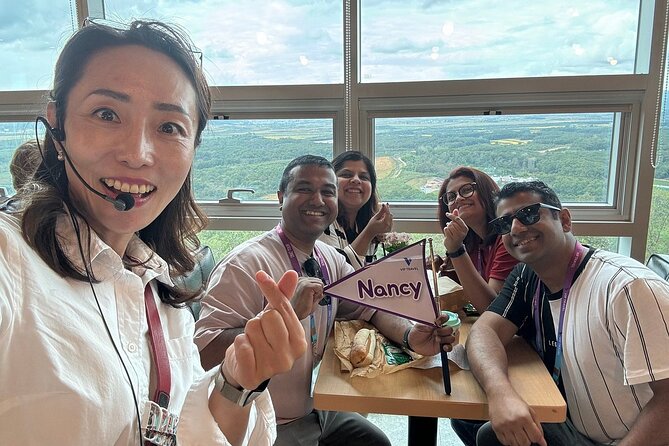 Seoul City Private Tour (Optional : Seoul, DMZ, Nami Island) - How this 8-hour private tour actually works