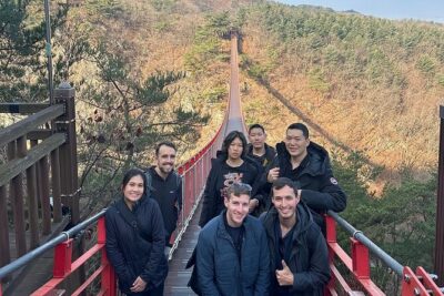 Seoul City Private Tour (Optional : Seoul, DMZ, Nami Island) - Pickup in Seoul: comfort and time savings you’ll feel immediately