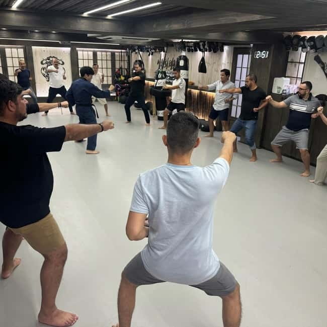Seoul: Combat Taekwondo & Self-Defense One Day Class - Should you book this Combat Taekwondo self-defense class in Seoul?