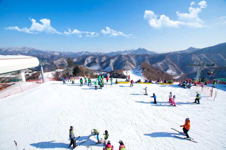 Seoul: Elysian Gangchon Winter Ski Resort Fun Day Tour - The 1-Hour Lesson That Gets You Off the Ground