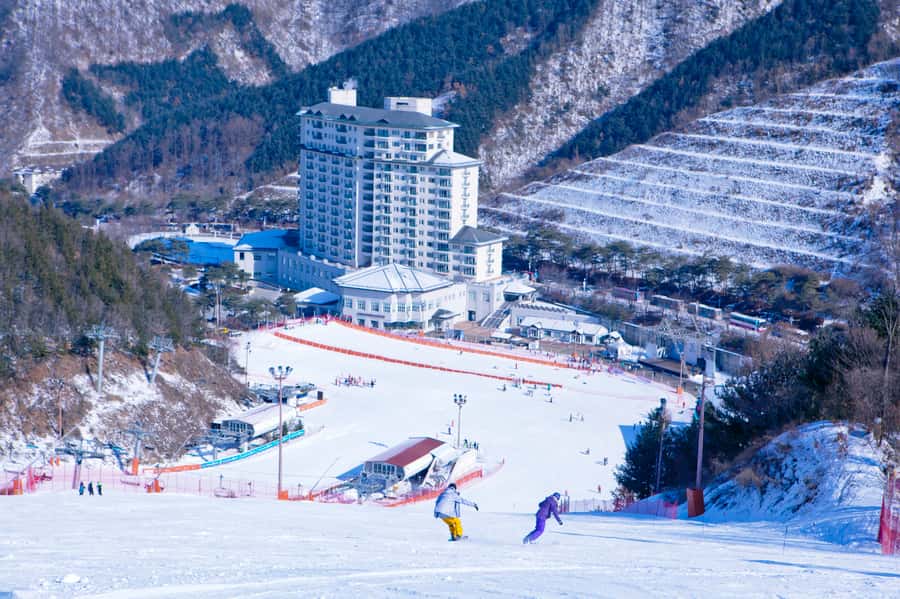 Seoul: Elysian Gangchon Winter Ski Resort Fun Day Tour - Value at Around $15: What You’re Really Paying For