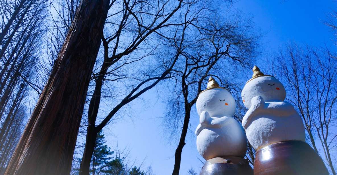 Seoul: Elysian Gangchon Winter Ski with Nami Island Day Tour - Key Things You’ll Actually Notice on This Trip