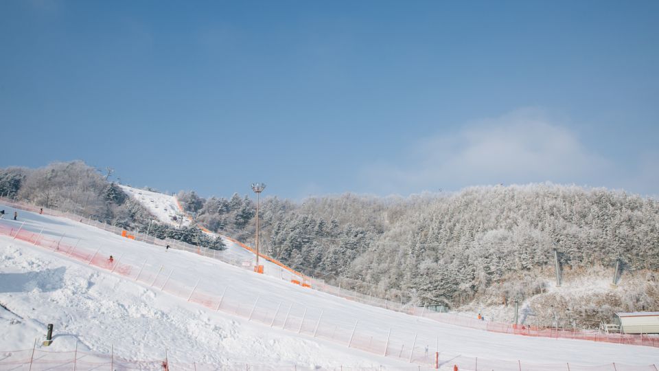 Seoul: Elysian Gangchon Winter Ski with Nami Island Day Tour - Who This Trip Suits Best