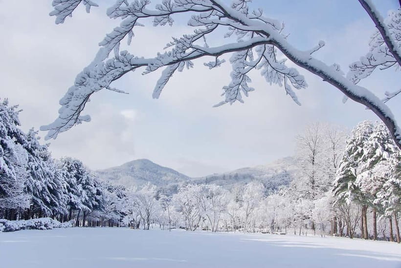 Seoul: Elysian Gangchon Winter Ski with Nami Island Day Tour - Why Nami Island + Elysian Gangchon Works as a Seoul Winter Day