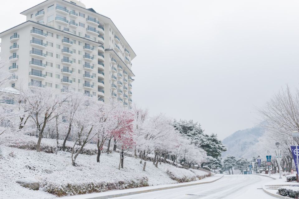 Seoul: Elysian Gangchon Winter Ski with Nami Island Day Tour - What to Do After the Lesson: Free Time on the Mountain