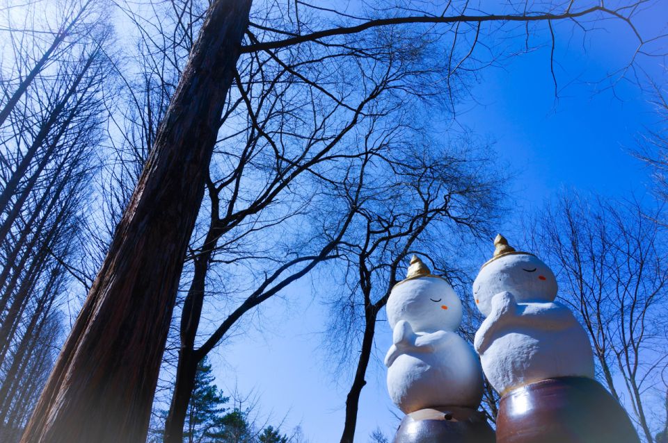 Seoul: Elysian Gangchon Winter Ski with Nami Island Day Tour - Getting Value for Around $35: What’s Included vs. What You Pay for
