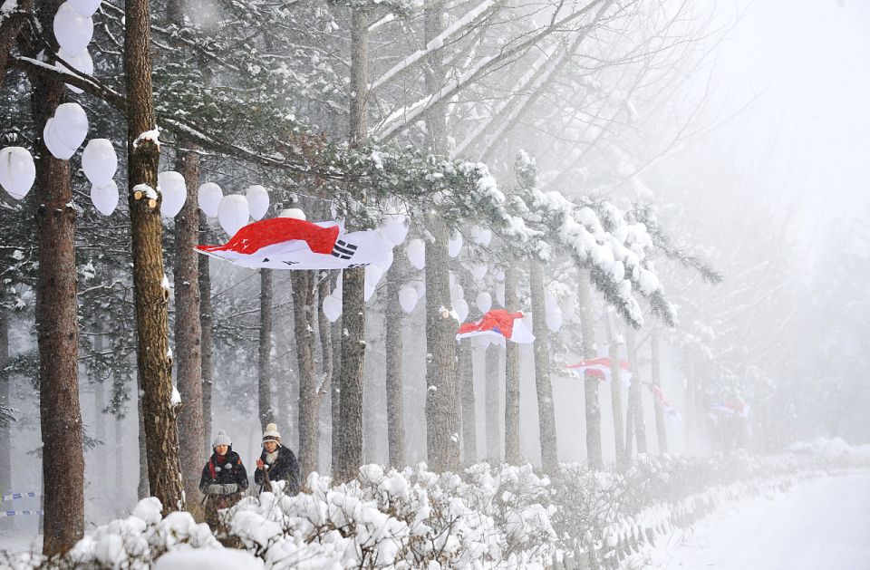 Seoul: Elysian Gangchon Winter Ski with Nami Island Day Tour - Group Pace, Weather, and Family Notes (Strollers, Kids, and Snow Levels)