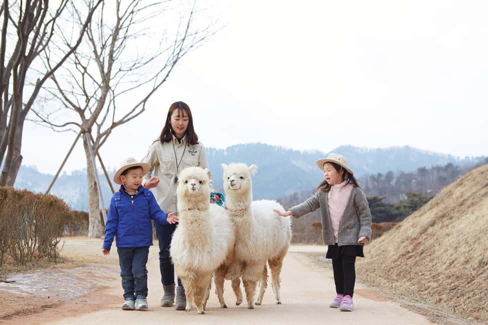 Seoul: Eobi Ice Valley, Alpaca World, Nami Island and More - Nami Island and Winter Sonata filming spots: time to stroll, not just pose