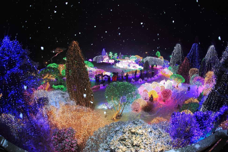Seoul: Eobi Ice Valley, Alpaca World, Nami Island and More - Gangchon Rail Bike or The Garden of Morning Calm: choose your ending style