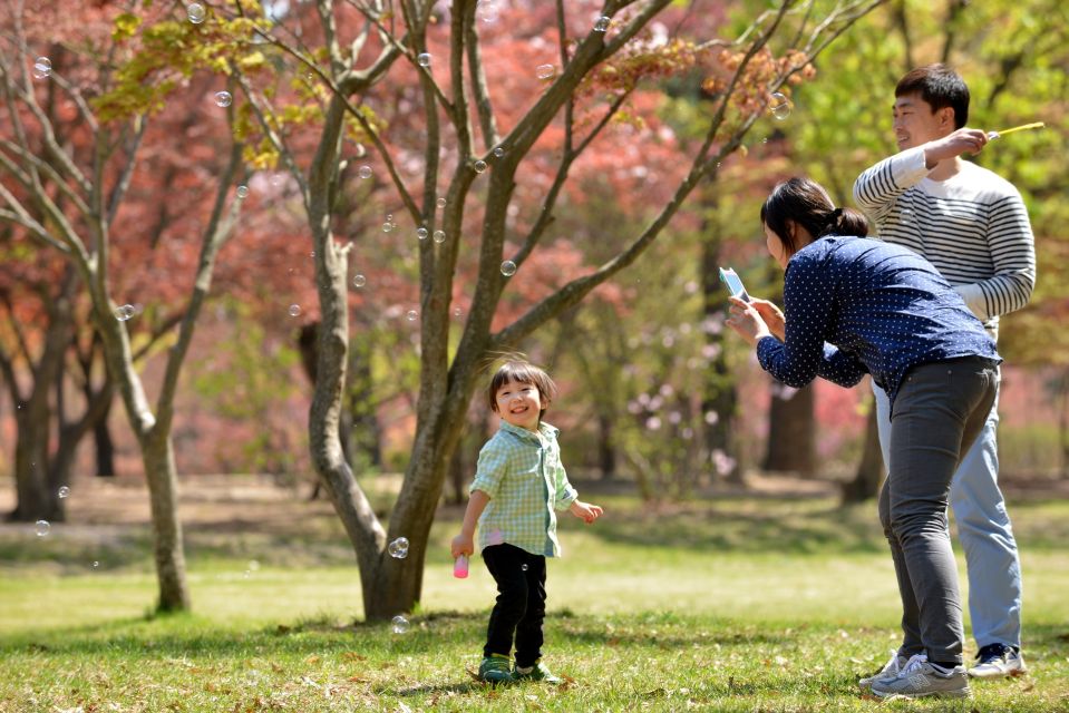 Seoul: Eobi Ice Valley, Alpaca World, Nami Island and More - Who this tour suits best (and who should think twice)