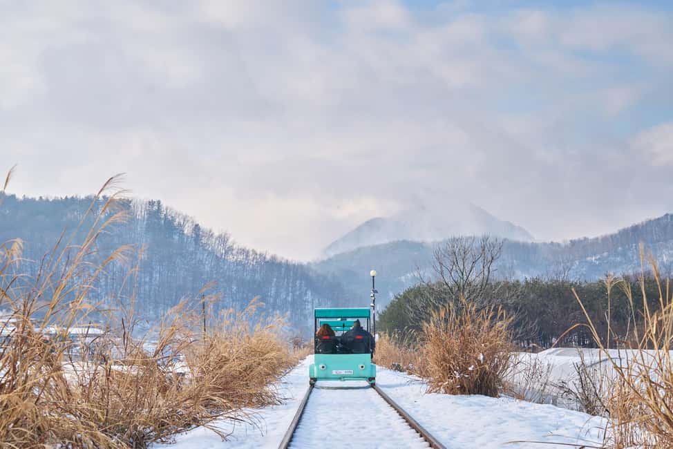 Seoul: Eobi Ice Valley, Alpaca World, Nami Island and More - Alpaca World: warm animal time in a quiet setting