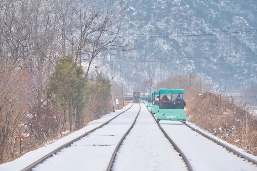Seoul: Eobi Valley(Winter), Strawberry, Nami Island and Bike - Who this tour fits best