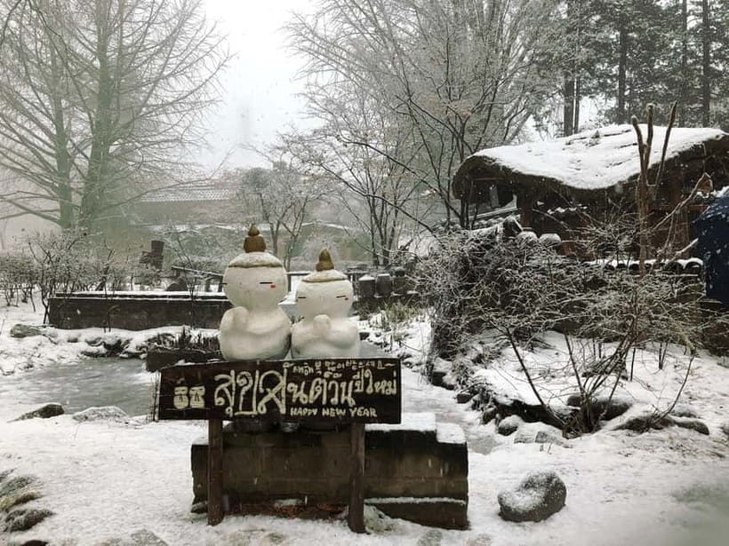Seoul: Eobi+Nami+Hanbok(+RailBike or Strawberry Options)Tour - Value for $51: what you’re paying for (and what you aren’t)