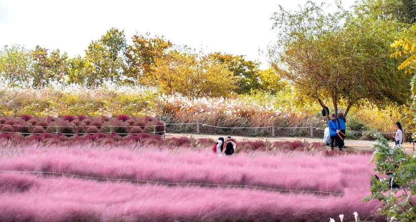 Seoul Full-Day City Tour: Hanok Village, Scenic Routes - Quick hits: what makes this tour worth your time