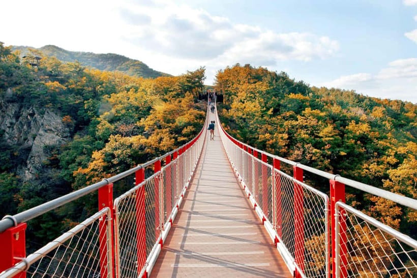 Seoul Full-Day City Tour: Hanok Village, Scenic Routes - A full-day Seoul loop built around autumn heights