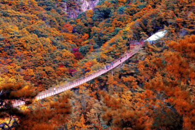 Seoul Full-Day City Tour: Hanok Village, Scenic Routes - Haneul (Sky) Park: silver grass views over the city