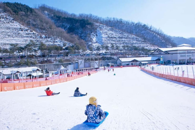 Seoul: Full-Day Winter Trip Ski Resort, Ice Valley, Namiseom - Quick Take: What You’ll Notice Fast