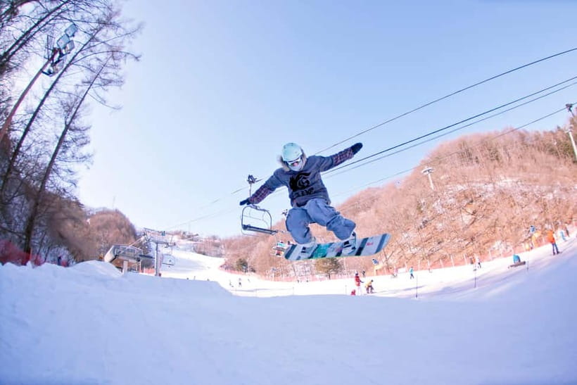 Seoul: Full-Day Winter Trip Ski Resort, Ice Valley, Namiseom - Choosing Your Elysian Option: Ski Lesson Logic Without the Guesswork