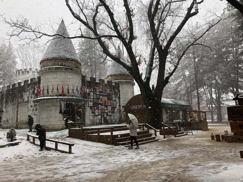 Seoul: Full-Day Winter Trip Ski Resort, Ice Valley, Namiseom - Who This Trip Fits Best (and Who Should Skip It)